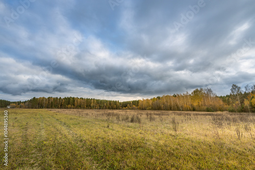 A field of grass with a cloudy sky in the background