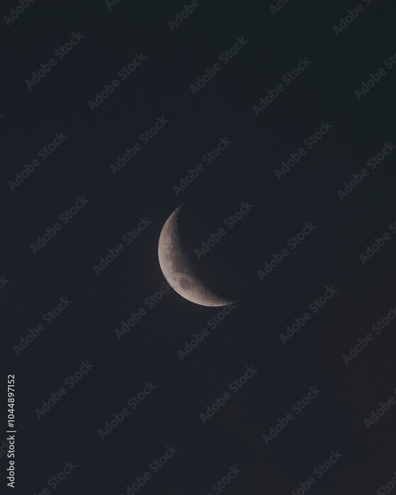 moon moon