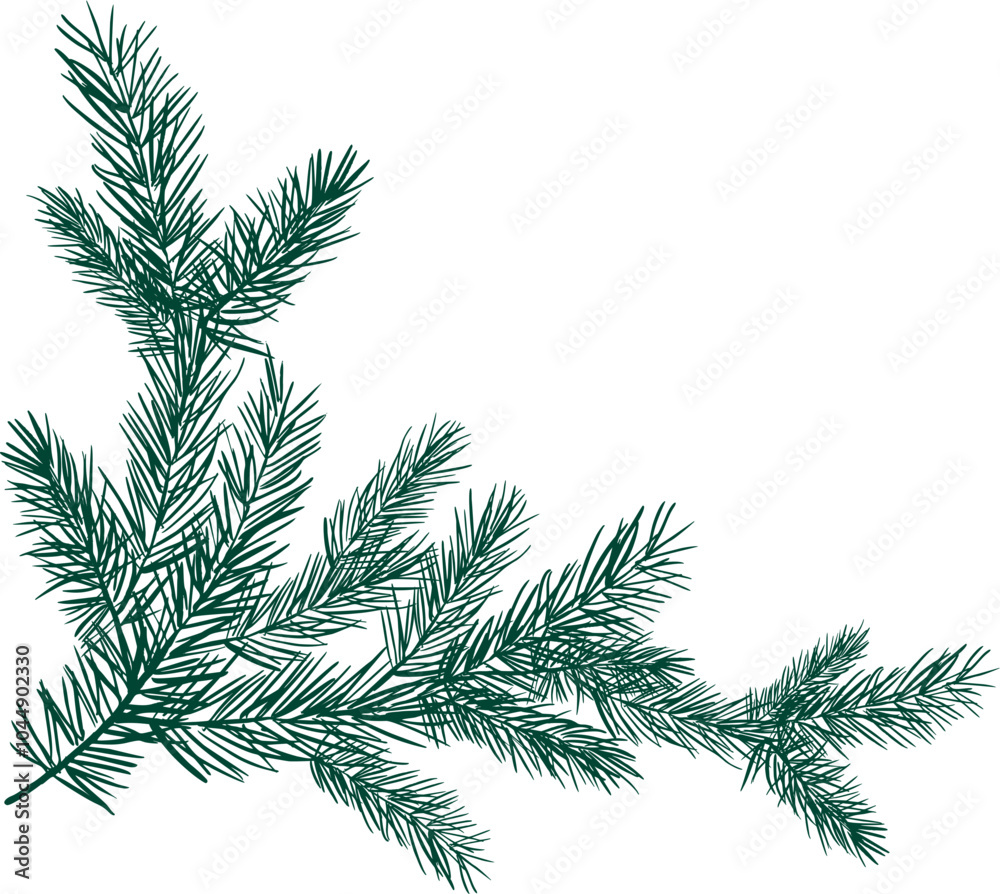 Pine tree branches Christmas illustration Pine tree branches Christmas illustration