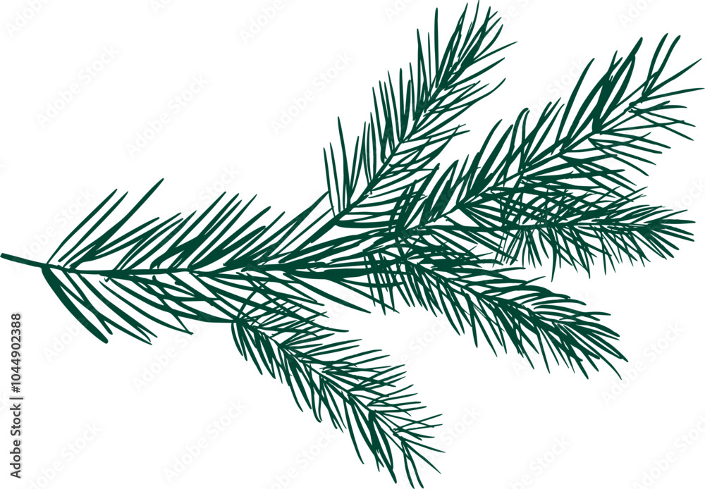 Pine tree branches Christmas illustration