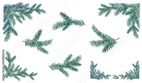 Pine tree branches Christmas illustration