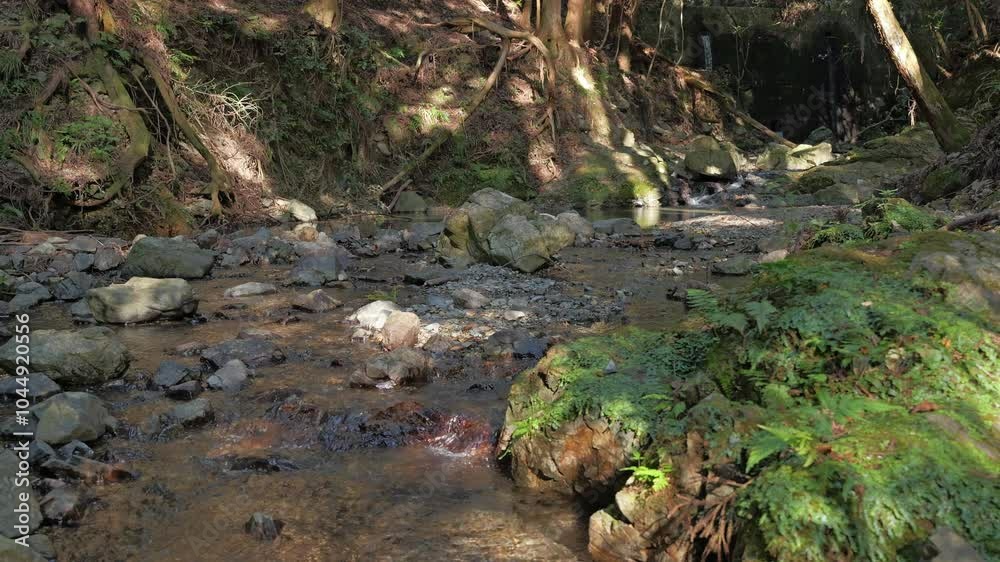 mountain stream, in the mountains of Japan, a stream of water without pollution mountain stream, in the mountains of Japan, a stream of water without pollution