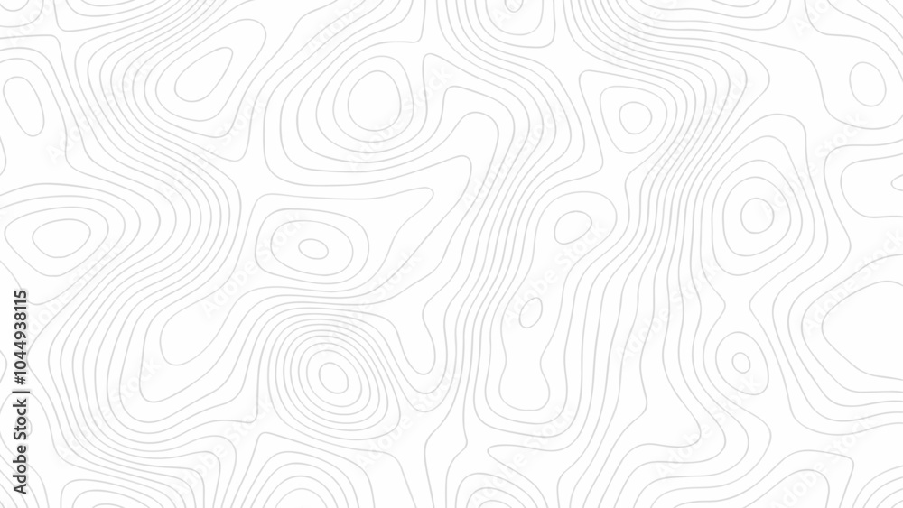 Topographic map background. Topographic map background.