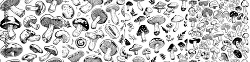 An endless repeatable texture of organic natural food and fungi drawn in vintage style on a white background. A coloured illustration for print of a seamless fungi pattern.