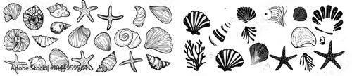 Seashells and starfishes set. Underwater mollusk animals. Seashells, scallops, snails, cockleshells, mussels and conches. Modern illustration of shellfishes on a white background.