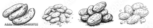 Illustration of a group of cobblestones or pebbles in monochrome