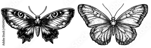 An engraved drawing of a Peacock butterfly in a vintage retro style. Acglais io ink etching, woodcut. Hand-drawn winged insect and outlined moth. Hand-drawn isolated modern illustration.