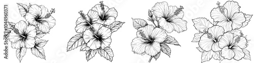 Drawing of hibiscus flowers in vintage botanical engraving style. Handdrawn retro etching, graphic modern illustration on white.