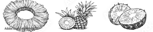 Cut pineapple, round slice, semi-circle piece in retro vintage style. Exotic tropical fruit, sketch drawing, etching. Hand-drawn ananas. Isolated on white ground.