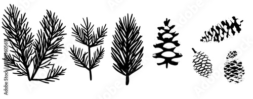 Pine and fir cone, conifer branches set. Natural botanical forest decoration. Evergreen coniferous needles, fircone, pinecone, spruce twig. Isolated flat modern illustration on white.