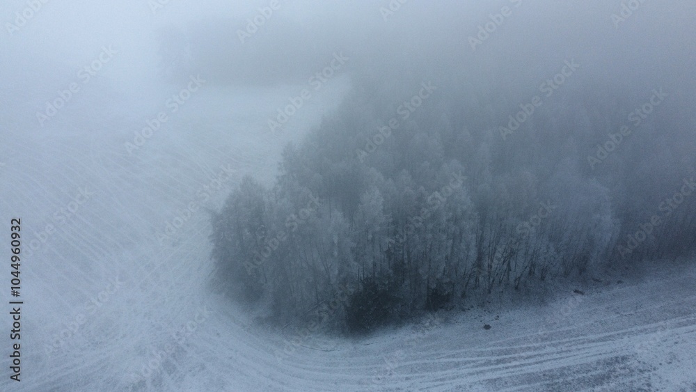 foggy winter foggy winter