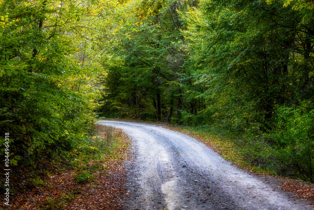 Scenic Journey Through Leafy Country Roads Scenic Journey Through Leafy Country Roads