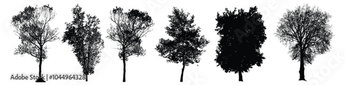 A collection of tree silhouettes of various species