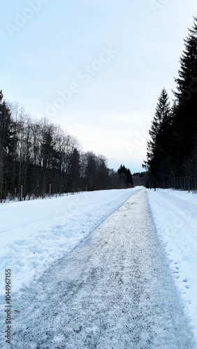 Icy road and trees on a cold winter day