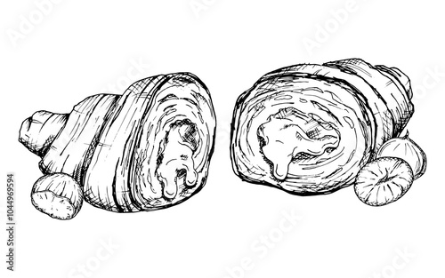 A detailed hand-drawn vector illustration of a croissant cut in half with hazelnuts. Black and white sketch showing the flaky layers of the pastry and nuts. Perfect for bakery, food, culinary designs