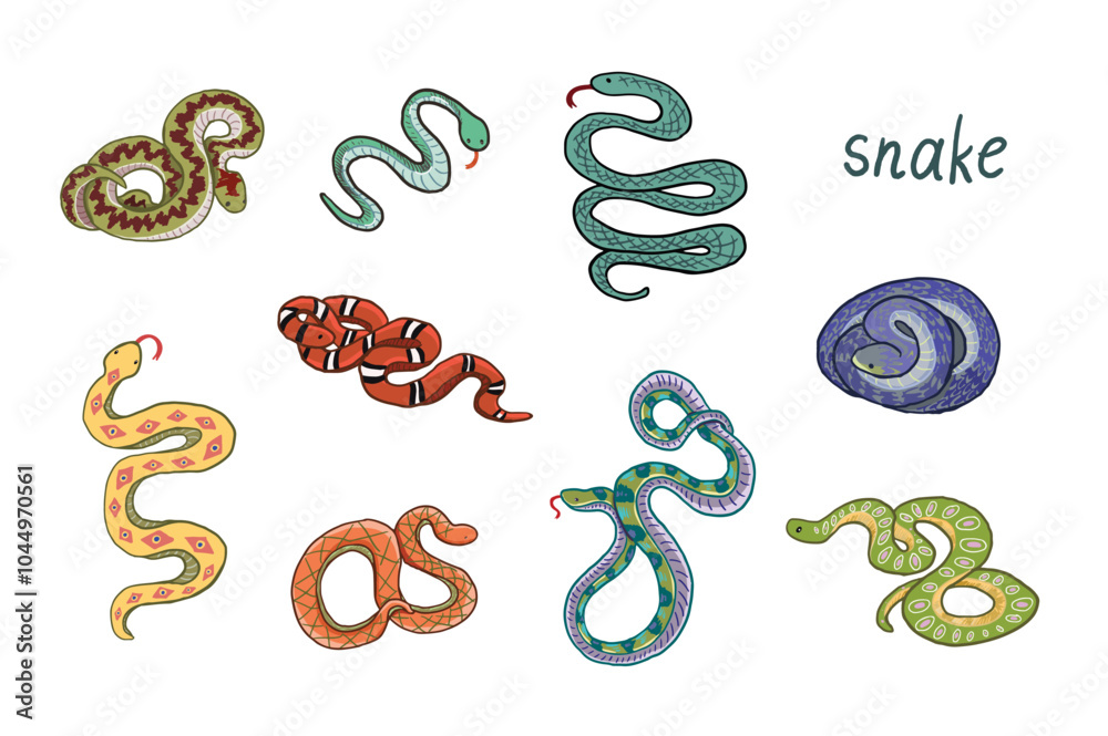 Snake hand drawn vector illustartions set Snake hand drawn vector illustartions set