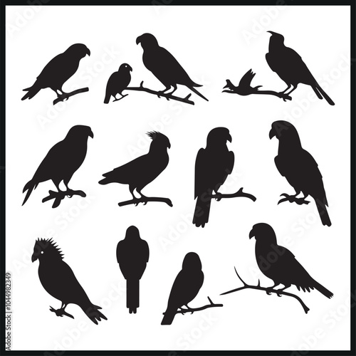 Set of silhouette parrots