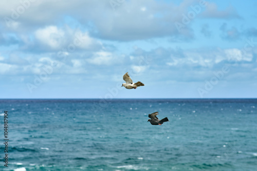 Two doves flying over cliffs with a view of ocean waves