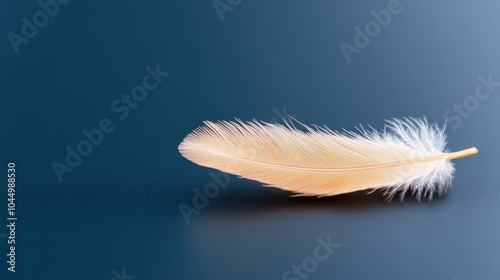 A close-up of a soft peach-colored feather placed elegantly on a smooth surface, showcasing the delicate and light texture in a serene setting.