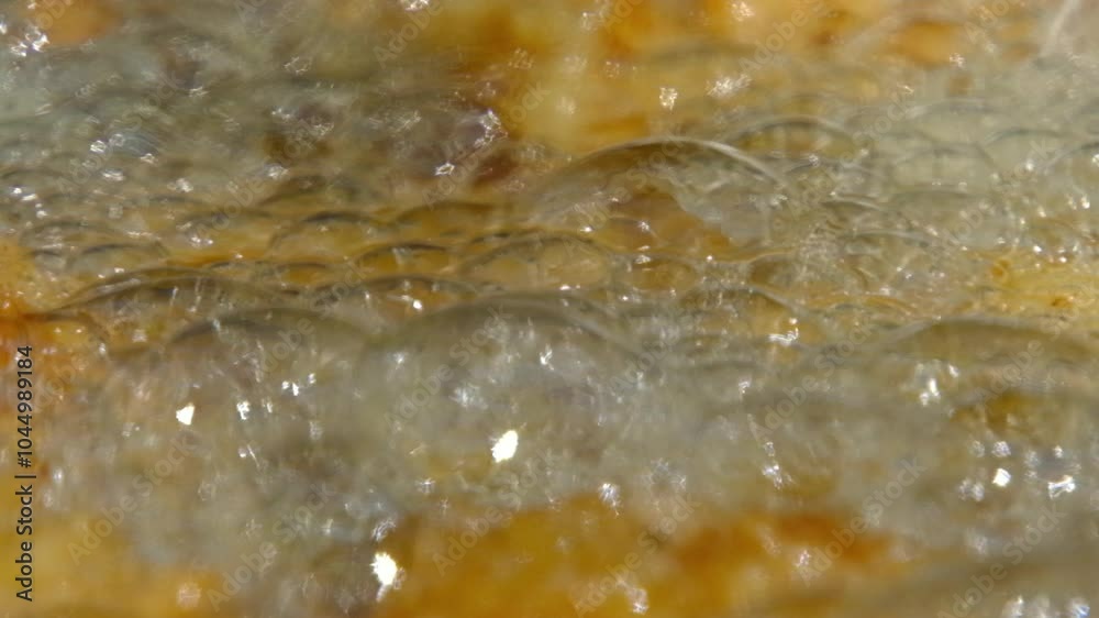Extreme close up and slow motion of hot oil foaming or bubbling in cast iron pan or skillet while deep frying fish battered in breadcrumbs over fire pit or camp fire Extreme close up and slow motion of hot oil foaming or bubbling in cast iron pan or skillet while deep frying fish battered in breadcrumbs over fire pit or camp fire