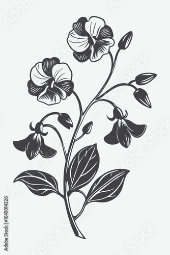 Sweet Pea Branch with Flowers Silhouette Vector Illustration of Elegant Flowering Plant Design