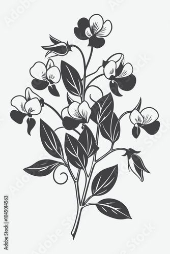 Sweet Pea Branch with Flowers Silhouette Vector Illustration of Elegant Flowering Plant Design