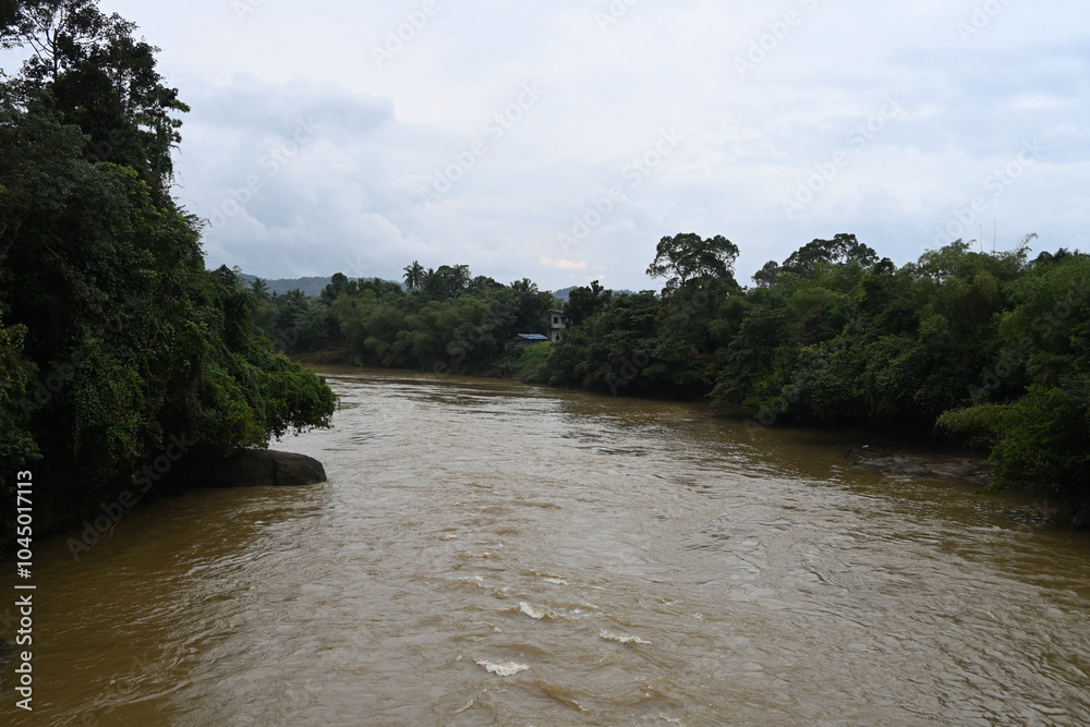 A view of the Black river as it flows downstream in Sri Lanka A view of the Black river as it flows downstream in Sri Lanka