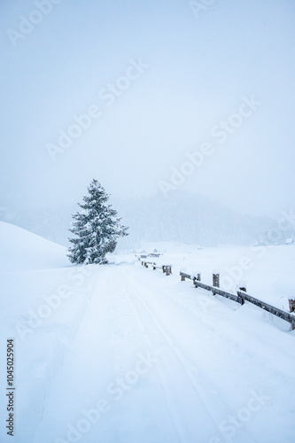 While it snows. Under a heavy snowfall walking in the village of Cima Sappada