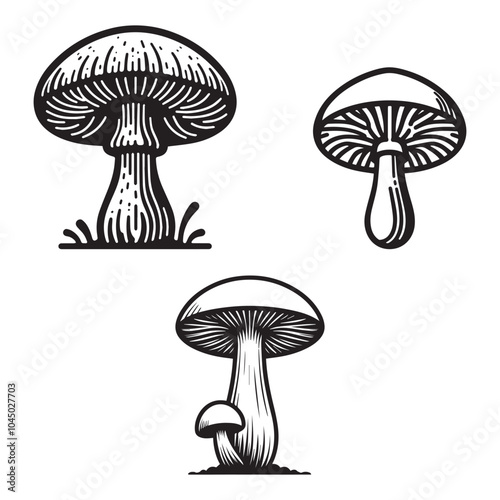 Minimalist mushroom silhouette on white background. Mushroom outline vector. photo