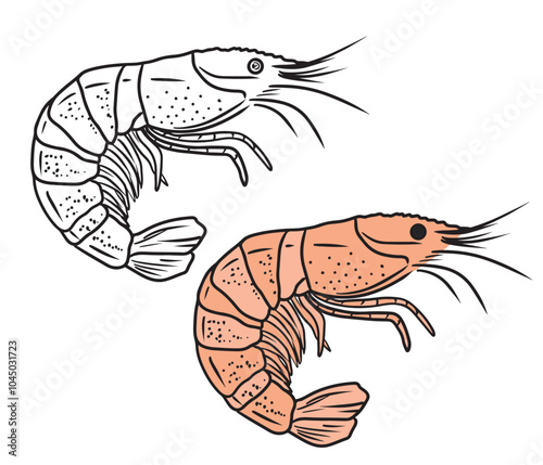 Beautiful tasty coloring book design with black and white version of shrimp seafood. Hand drawn vector sketch illustration in doodle engraved vintage line art style. Tasty delicious ready to eat