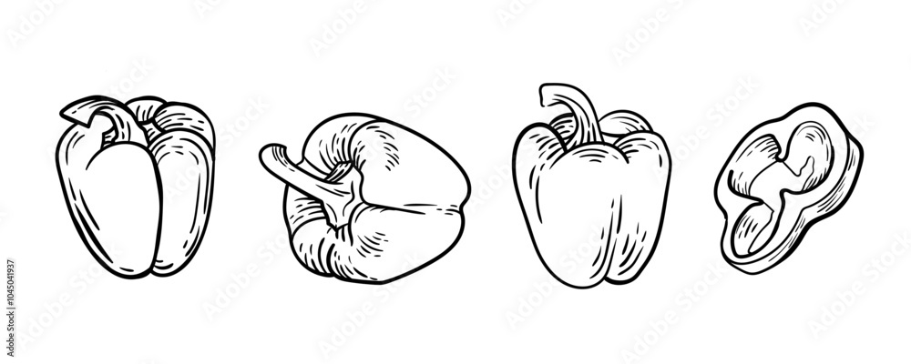 Pepper. Vegetables. Hand drawn vector illustration. Pepper. Vegetables. Hand drawn vector illustration.