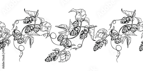 Hop vine, humulus cone black white graphic vector seamless border isolated. Hop cones branch leaves painted engraving in botanical sketch repeated background for design textile, packaging. Hops liana.