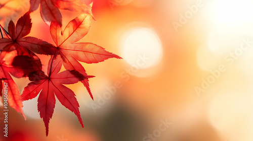 Red Maple Leaves Autumn Bok...