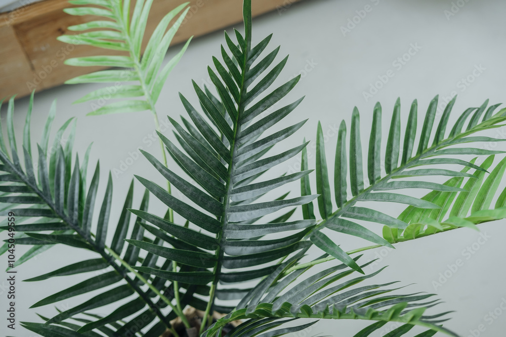 Lush green palm leaves thriving indoors in a modern living space Lush green palm leaves thriving indoors in a modern living space