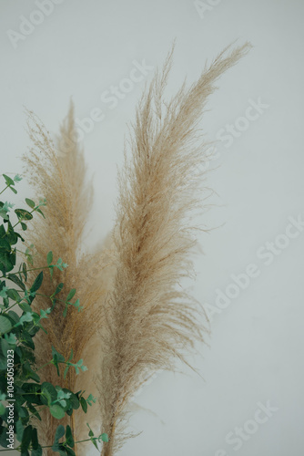 Elegant dried pampas grass and greenery decor against a smooth wall