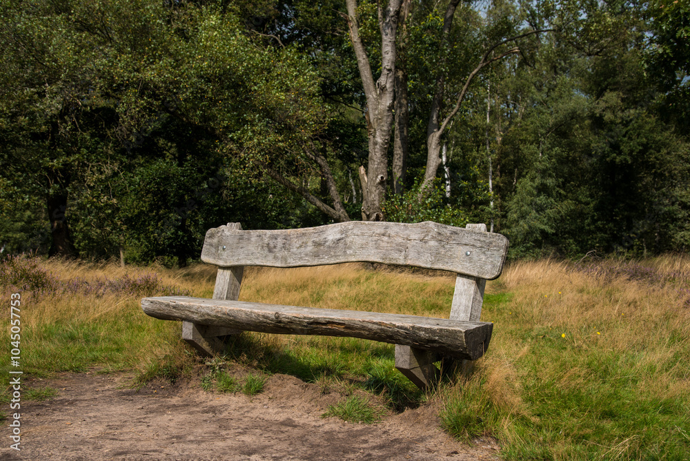 wooden bench in the national park wooden bench in the national park