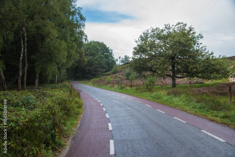 Fototapeta premium road in the countryside