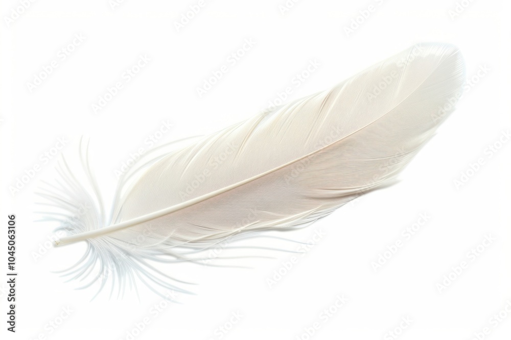 Obraz premium Pastel feather accessories accessory bottle.