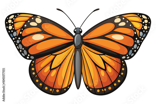 Beautiful monarch butterfly, illustration on white background.