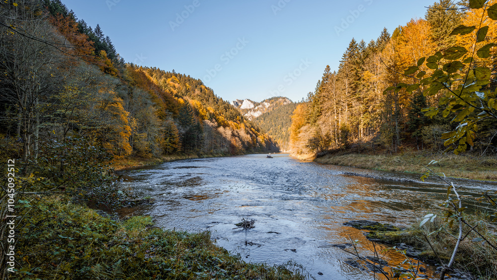 The gorge of the Dunajec River. Beautiful autumn scenery. Rafting on the Dunajec River. Colorful trees and sunlit rocky peaks. Pieniny Mountains, Poland