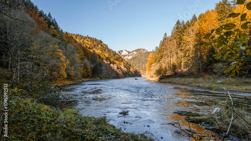 Obraz na płótnie The gorge of the Dunajec River. Beautiful autumn scenery. Rafting on the Dunajec River. Colorful trees and sunlit rocky peaks. Pieniny Mountains, Poland w salonie