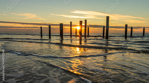 Canvas Print Palendorp Petten in the sea during a golden sunset