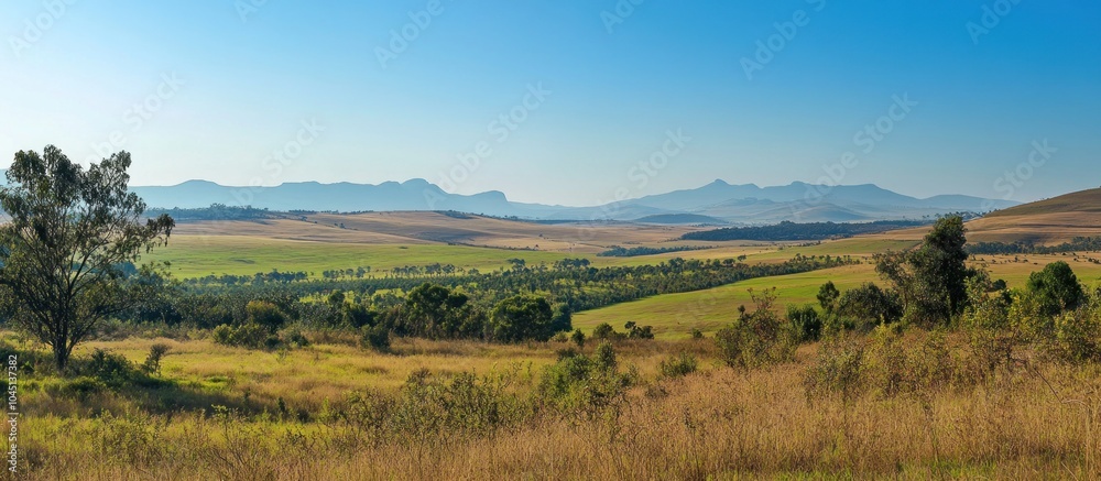 Naklejka premium A picturesque panorama of rolling hills and grasslands with a lone tree in the foreground.