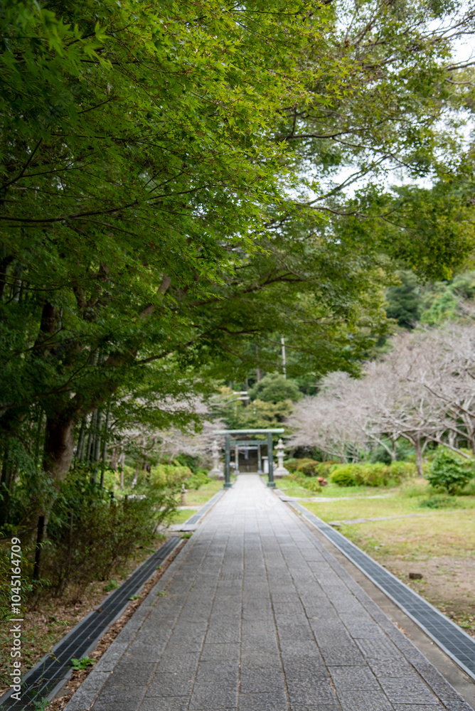 Obraz premium 鎌倉2410 建長寺5 半僧坊