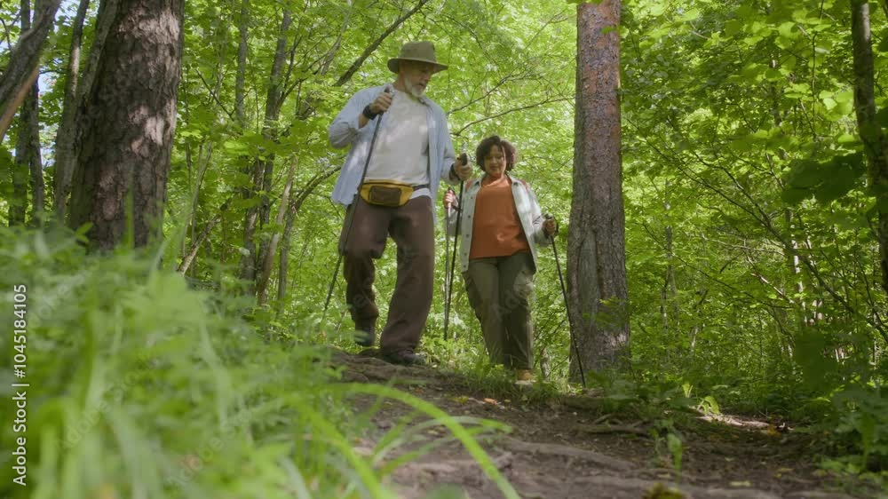 Low angle shot of mature Caucasian man helping his wife while hiking in summer forest Low angle shot of mature Caucasian man helping his wife while hiking in summer forest