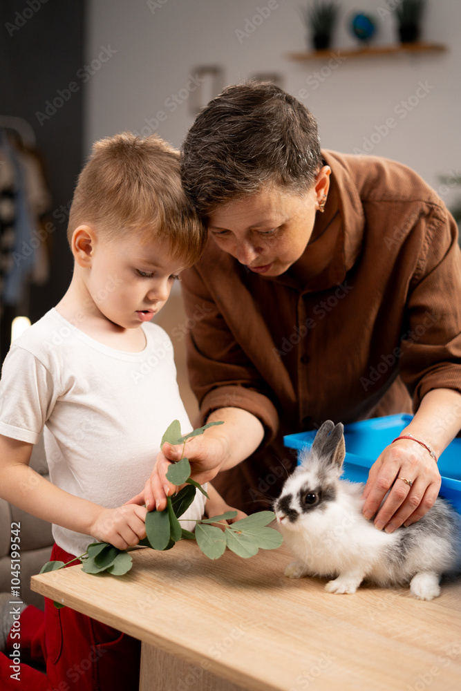 Little boy feeding pet rabbit with green leaves indoors Little boy feeding pet rabbit with green leaves indoors
