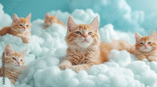 Many kittens that are laying in the clouds together photo