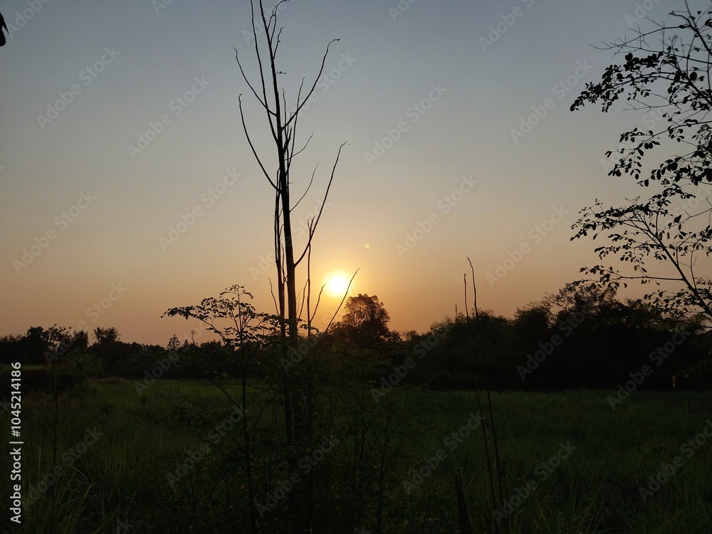 view of a bright evening sky with blue sky for the background view of a bright evening sky with blue sky for the background