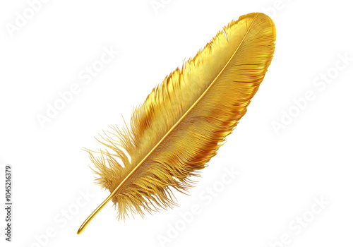 Photo of golden feather .Transparent background. Isolated PNG.