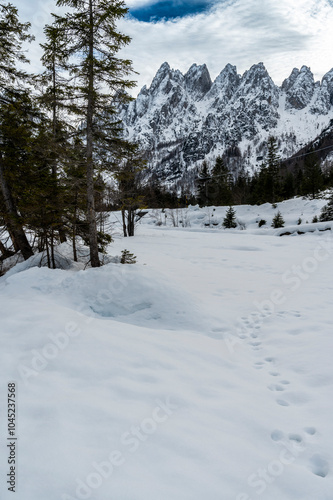 Gleris Valley. Winter in a wild valley in the Alps. Friulian Carnic Alps